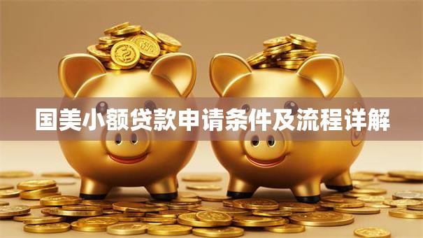 国美小额贷款申请条件及流程详解