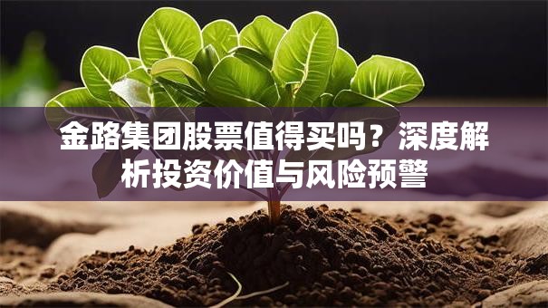 金路集团股票值得买吗？深度解析投资价值与风险预警