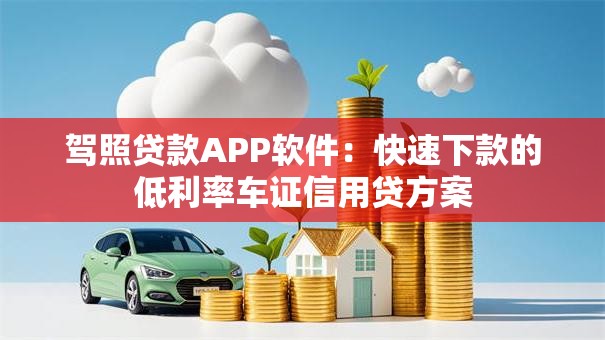 驾照贷款APP软件：快速下款的低利率车证信用贷方案