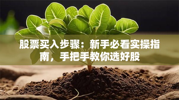 股票买入步骤：新手必看实操指南，手把手教你选好股