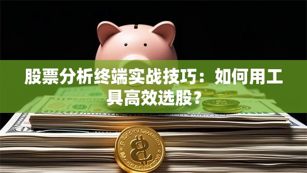 股票分析终端实战技巧：如何用工具高效选股？