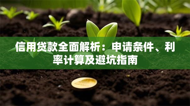 信用贷款全面解析：申请条件、利率计算及避坑指南