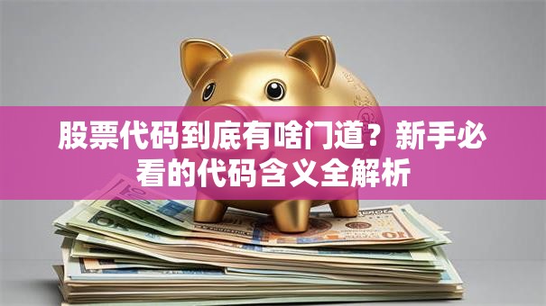股票代码到底有啥门道？新手必看的代码含义全解析