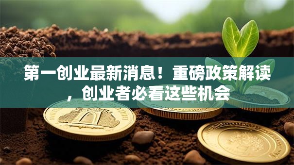 第一创业最新消息！重磅政策解读，创业者必看这些机会