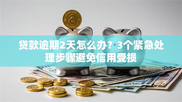 贷款逾期2天怎么办？3个紧急处理步骤避免信用受损