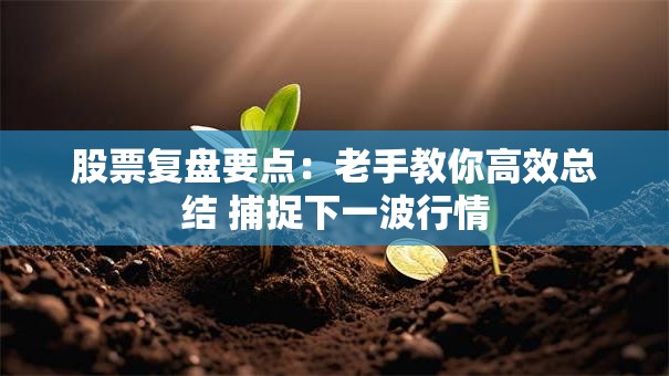 股票复盘要点：老手教你高效总结 捕捉下一波行情