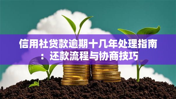 信用社贷款逾期十几年处理指南：还款流程与协商技巧