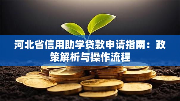 河北省信用助学贷款申请指南：政策解析与操作流程