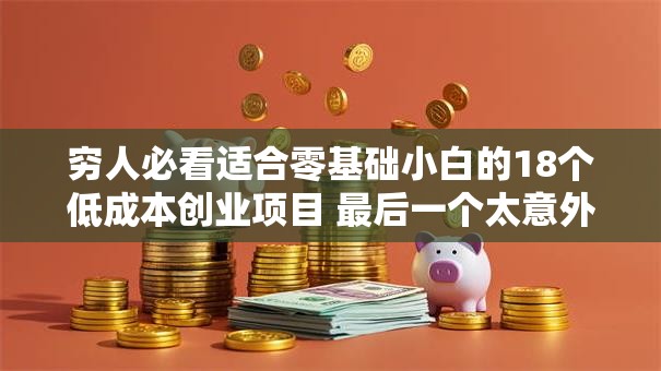 穷人必看适合零基础小白的18个低成本创业项目 最后一个太意外了！