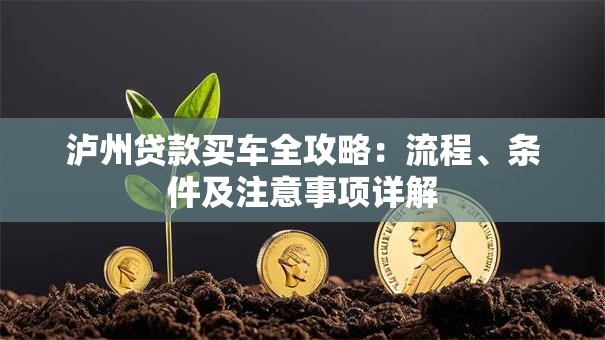 泸州贷款买车全攻略：流程、条件及注意事项详解
