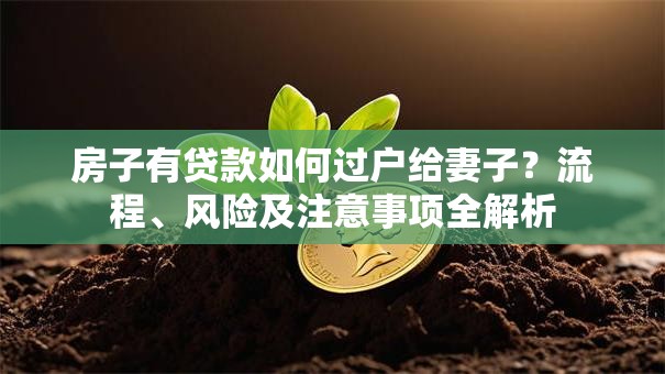 房子有贷款如何过户给妻子？流程、风险及注意事项全解析