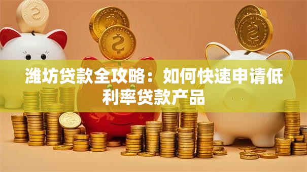 潍坊贷款全攻略：如何快速申请低利率贷款产品