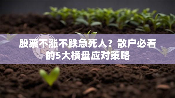 股票不涨不跌急死人？散户必看的5大横盘应对策略
