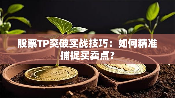 股票TP突破实战技巧：如何精准捕捉买卖点？
