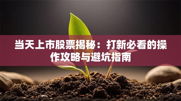当天上市股票揭秘：打新必看的操作攻略与避坑指南