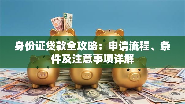 身份证贷款全攻略：申请流程、条件及注意事项详解