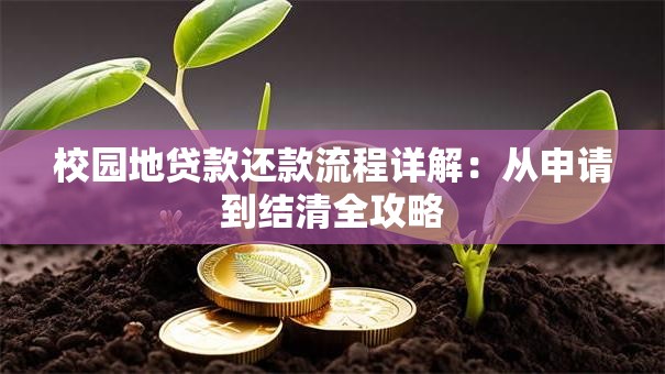 校园地贷款还款流程详解：从申请到结清全攻略