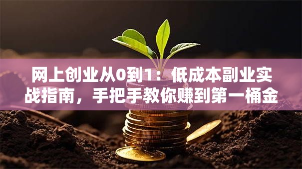 网上创业从0到1：低成本副业实战指南，手把手教你赚到第一桶金