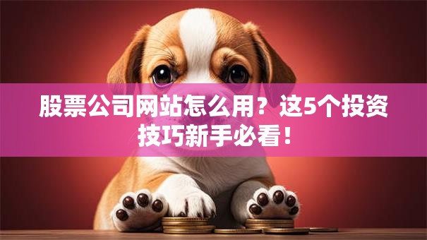 股票公司网站怎么用？这5个投资技巧新手必看！