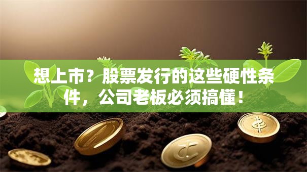 想上市？股票发行的这些硬性条件，公司老板必须搞懂！