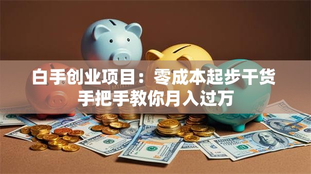 白手创业项目：零成本起步干货 手把手教你月入过万
