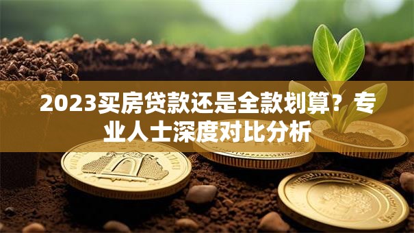 2023买房贷款还是全款划算？专业人士深度对比分析