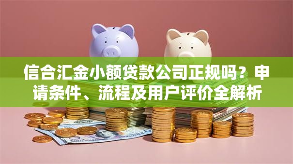 信合汇金小额贷款公司正规吗？申请条件、流程及用户评价全解析