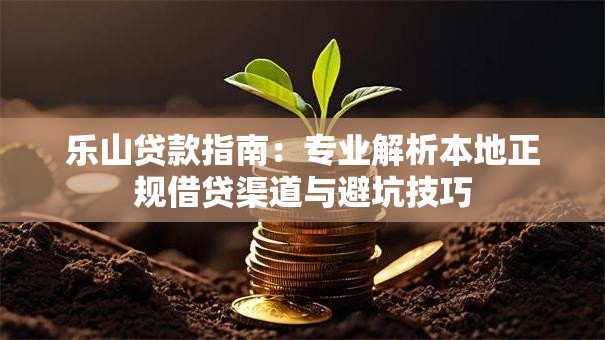 乐山贷款指南：专业解析本地正规借贷渠道与避坑技巧