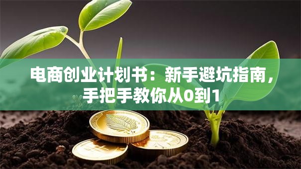 电商创业计划书：新手避坑指南，手把手教你从0到1