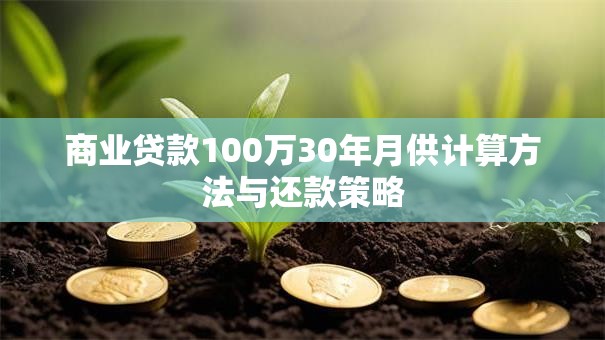 商业贷款100万30年月供计算方法与还款策略