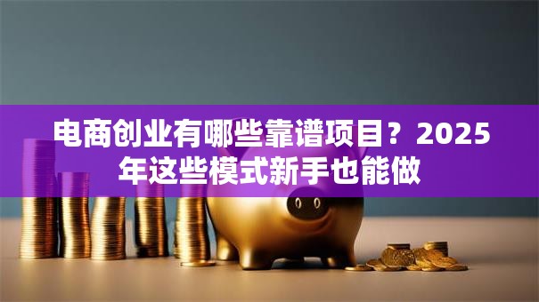电商创业有哪些靠谱项目？2025年这些模式新手也能做