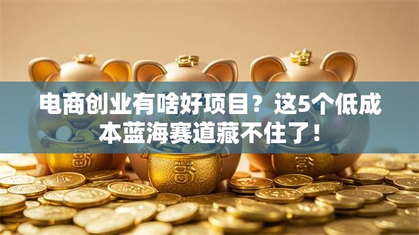 电商创业有啥好项目？这5个低成本蓝海赛道藏不住了！