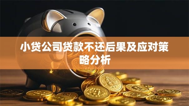 小贷公司贷款不还后果及应对策略分析