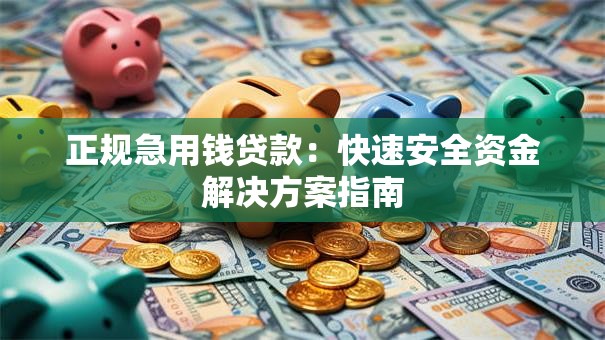 正规急用钱贷款：快速安全资金解决方案指南