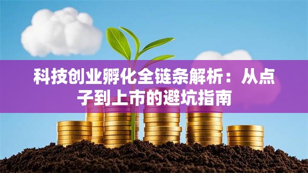 科技创业孵化全链条解析：从点子到上市的避坑指南