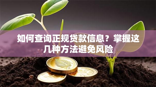 如何查询正规贷款信息？掌握这几种方法避免风险