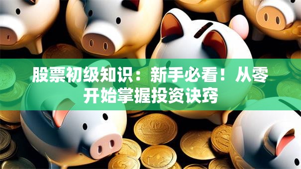 股票初级知识：新手必看！从零开始掌握投资诀窍