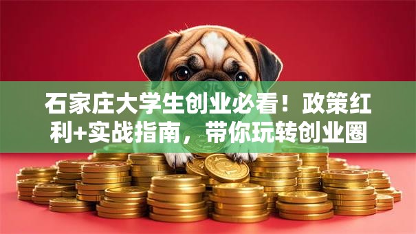 石家庄大学生创业必看！政策红利+实战指南，带你玩转创业圈