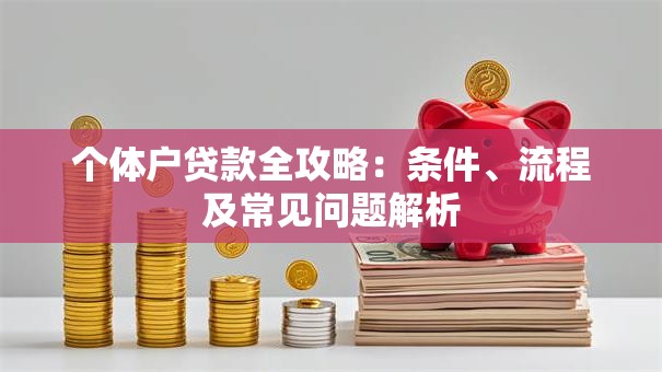 个体户贷款全攻略：条件、流程及常见问题解析