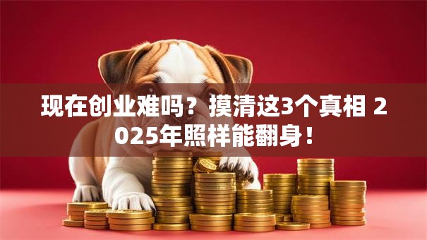 现在创业难吗？摸清这3个真相 2025年照样能翻身！