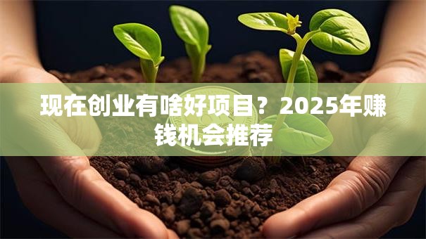 现在创业有啥好项目？2025年赚钱机会推荐