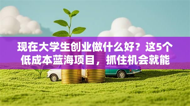 现在大学生创业做什么好？这5个低成本蓝海项目，抓住机会就能赚！