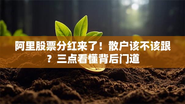阿里股票分红来了！散户该不该跟？三点看懂背后门道