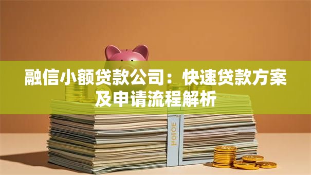 融信小额贷款公司：快速贷款方案及申请流程解析