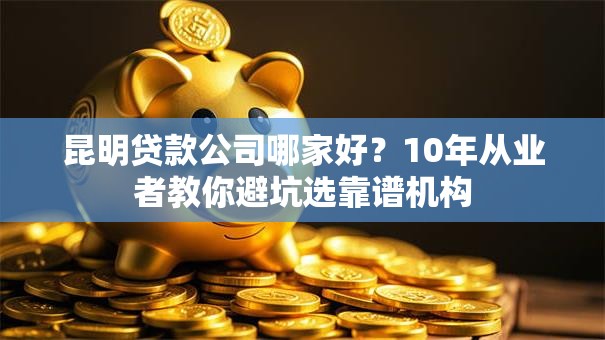 昆明贷款公司哪家好？10年从业者教你避坑选靠谱机构