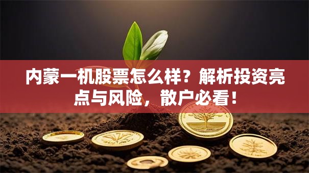 内蒙一机股票怎么样？解析投资亮点与风险，散户必看！