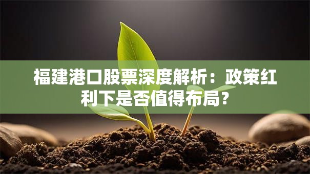 福建港口股票深度解析：政策红利下是否值得布局？
