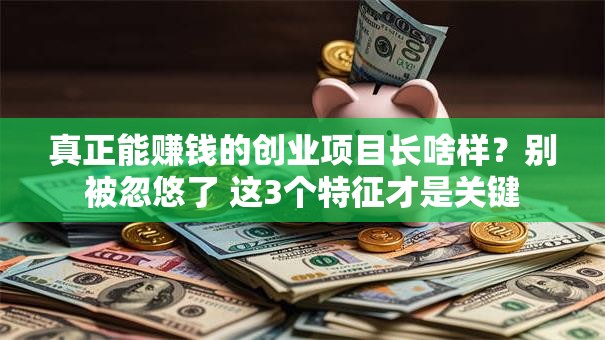 真正能赚钱的创业项目长啥样？别被忽悠了 这3个特征才是关键