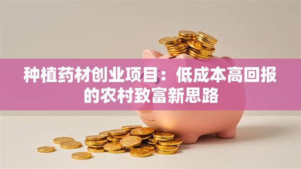 种植药材创业项目：低成本高回报的农村致富新思路