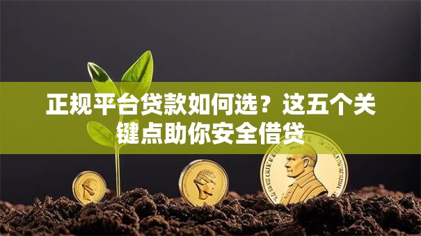 正规平台贷款如何选？这五个关键点助你安全借贷